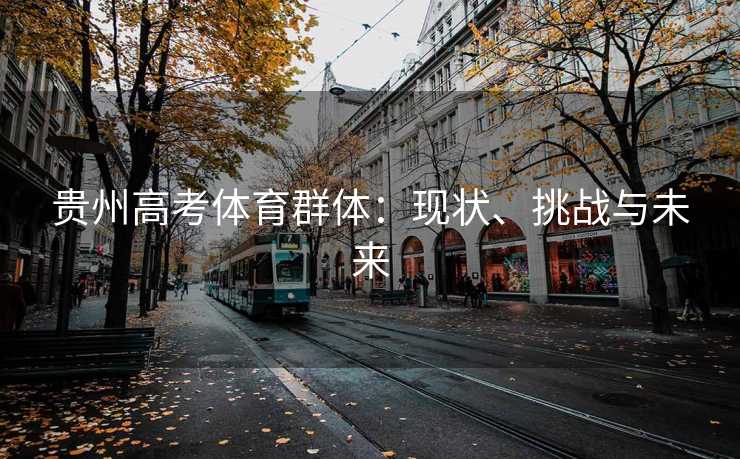 贵州高考体育群体：现状、挑战与未来