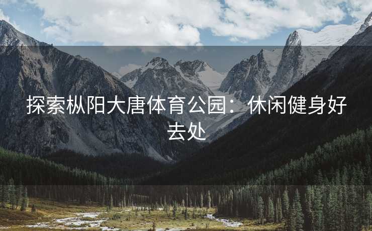 探索枞阳大唐体育公园：休闲健身好去处