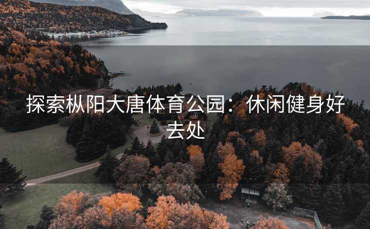 探索枞阳大唐体育公园：休闲健身好去处