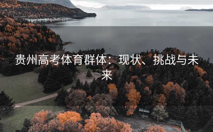 贵州高考体育群体：现状、挑战与未来