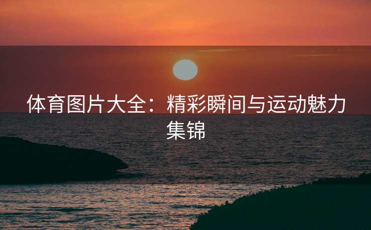 体育图片大全：精彩瞬间与运动魅力集锦