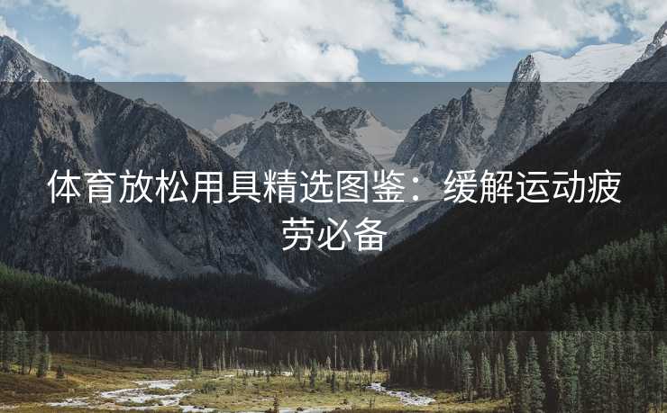 体育放松用具精选图鉴：缓解运动疲劳必备