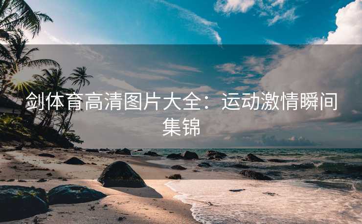 剑体育高清图片大全：运动激情瞬间集锦
