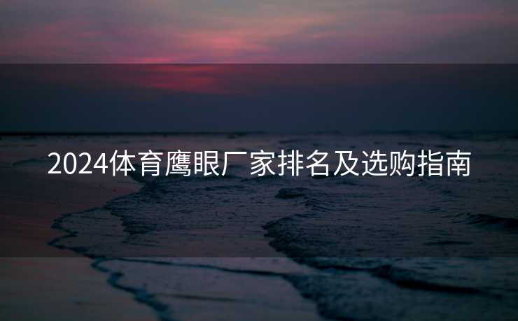 2024体育鹰眼厂家排名及选购指南
