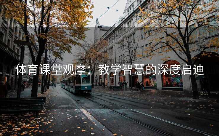 体育课堂观摩：教学智慧的深度启迪