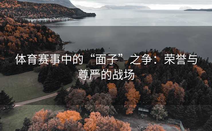 体育赛事中的“面子”之争：荣誉与尊严的战场