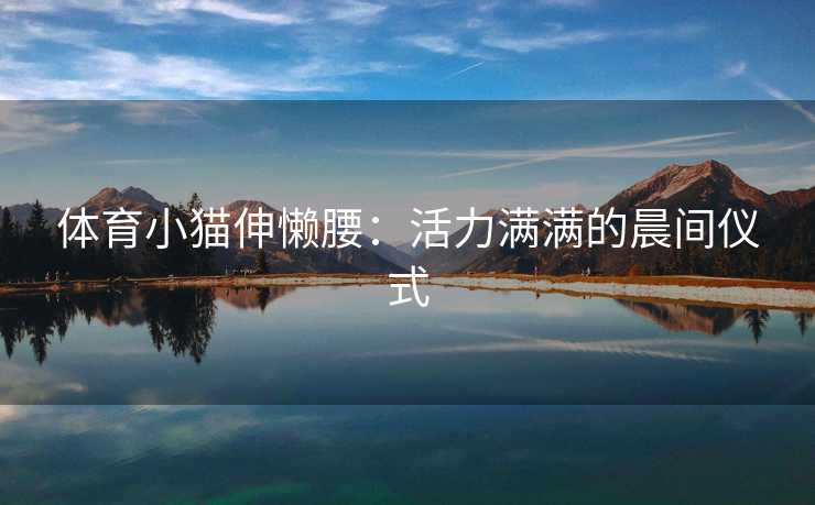 体育小猫伸懒腰：活力满满的晨间仪式