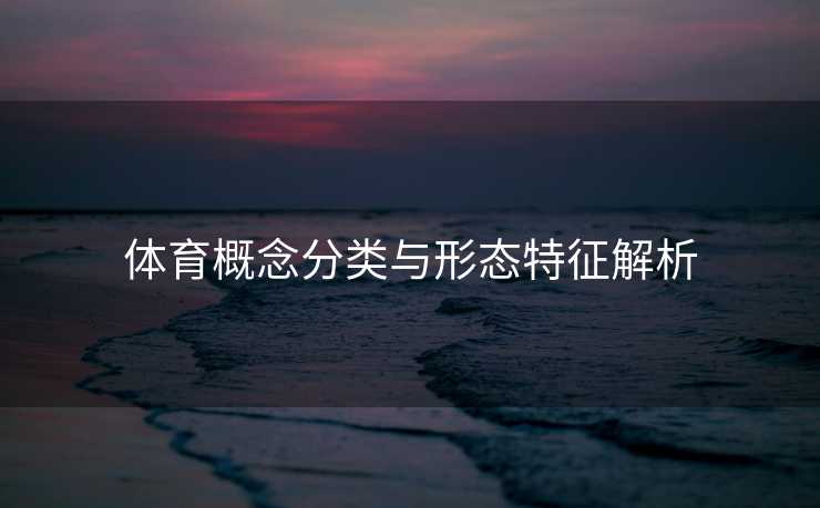 体育概念分类与形态特征解析