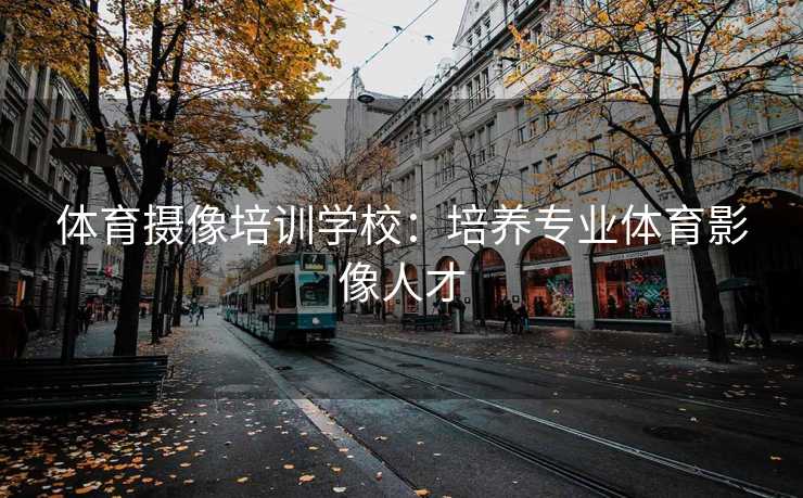 体育摄像培训学校：培养专业体育影像人才