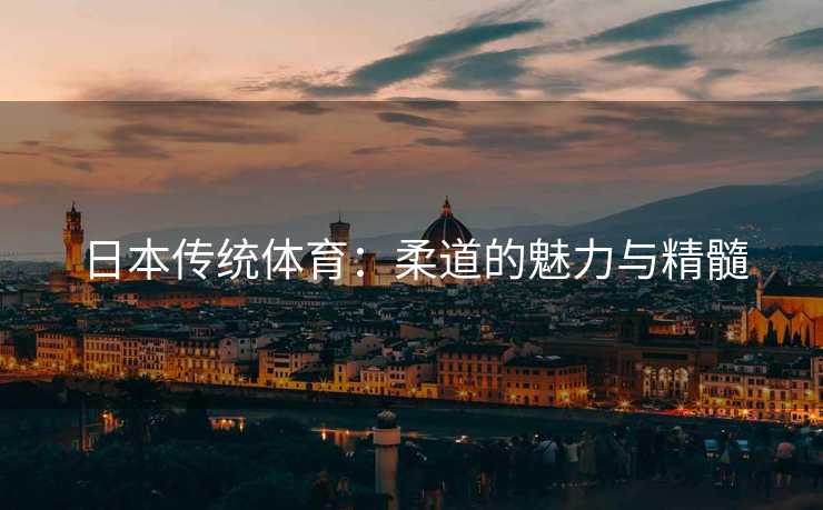 日本传统体育：柔道的魅力与精髓