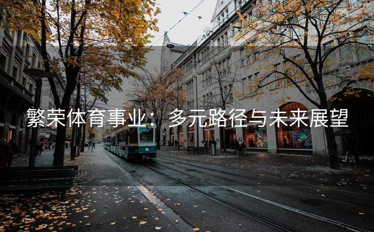 繁荣体育事业：多元路径与未来展望