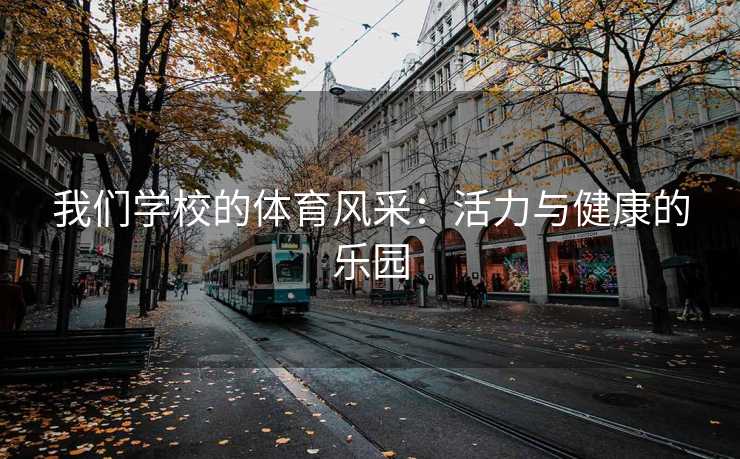 我们学校的体育风采：活力与健康的乐园