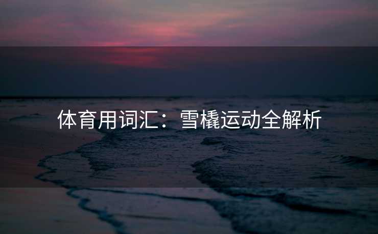体育用词汇：雪橇运动全解析