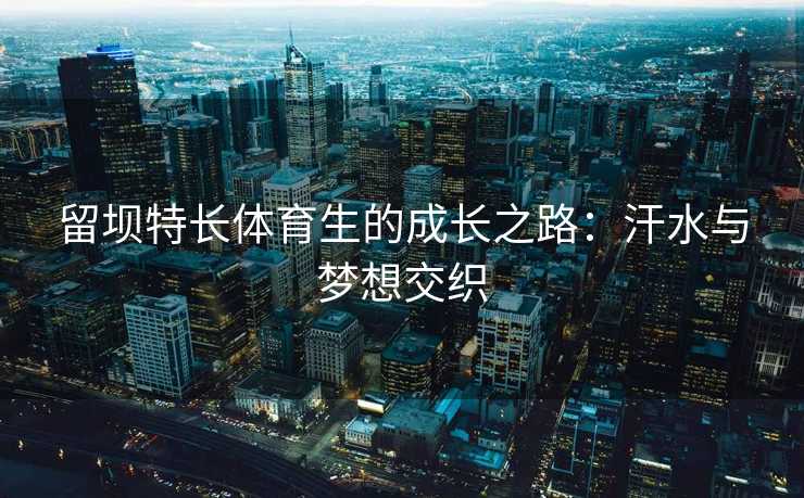 留坝特长体育生的成长之路：汗水与梦想交织