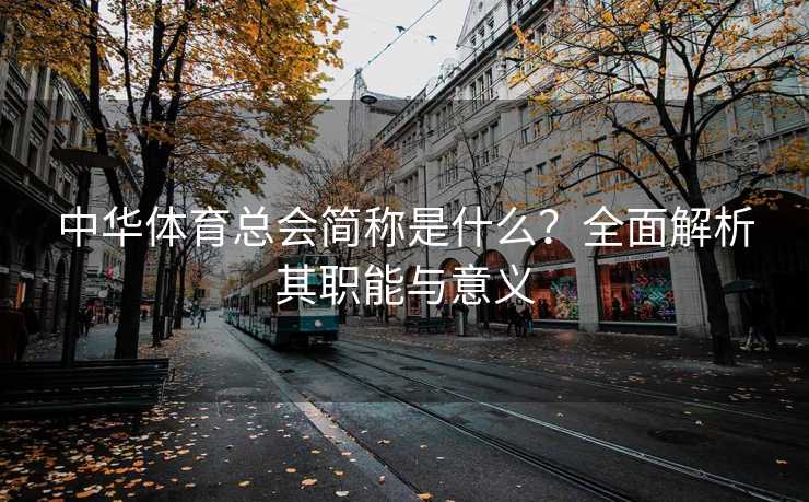 中华体育总会简称是什么？全面解析其职能与意义