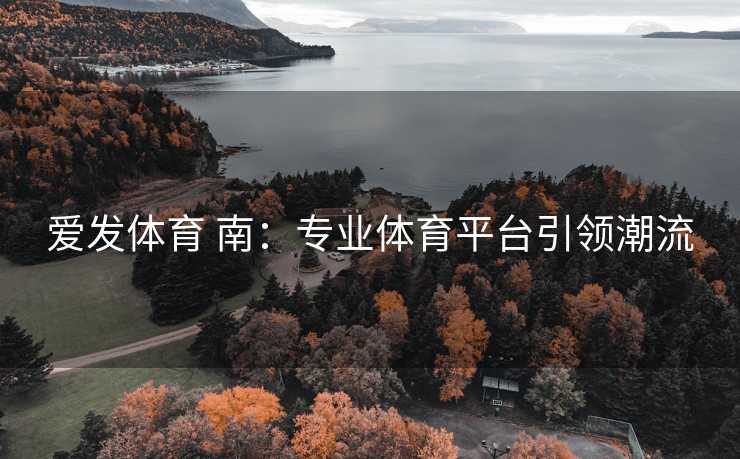 爱发体育 南：专业体育平台引领潮流