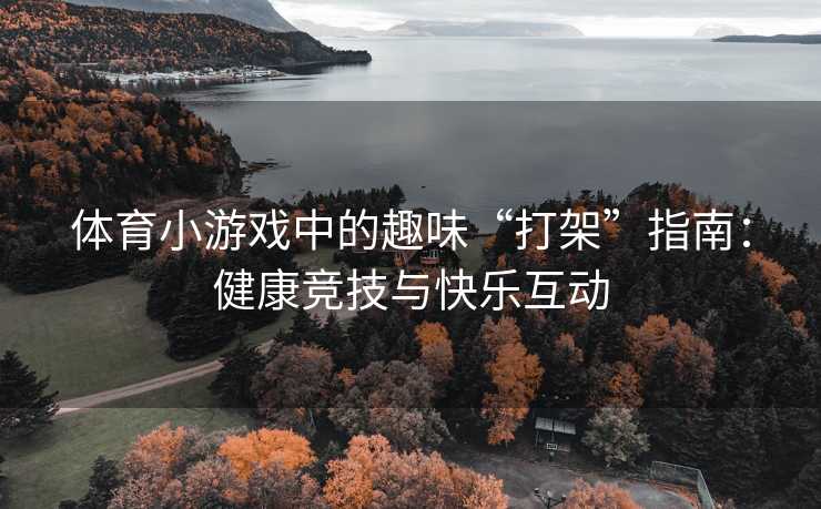 体育小游戏中的趣味“打架”指南：健康竞技与快乐互动