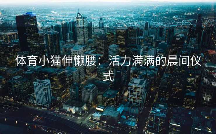 体育小猫伸懒腰：活力满满的晨间仪式