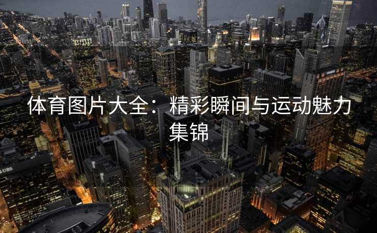 体育图片大全：精彩瞬间与运动魅力集锦