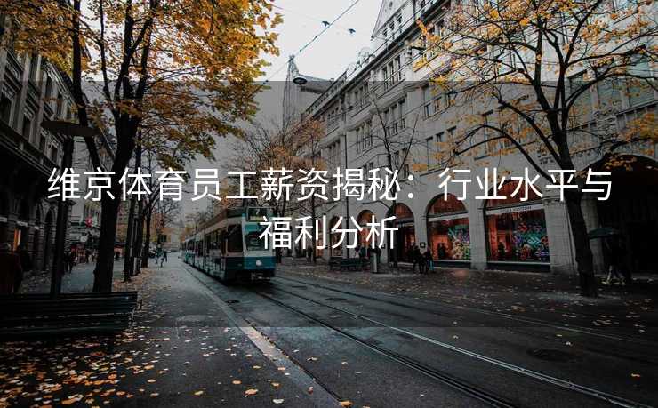 维京体育员工薪资揭秘：行业水平与福利分析