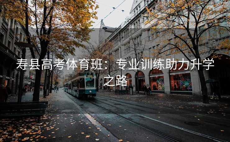 寿县高考体育班：专业训练助力升学之路