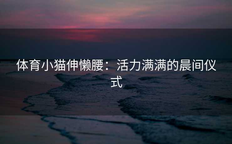 体育小猫伸懒腰：活力满满的晨间仪式