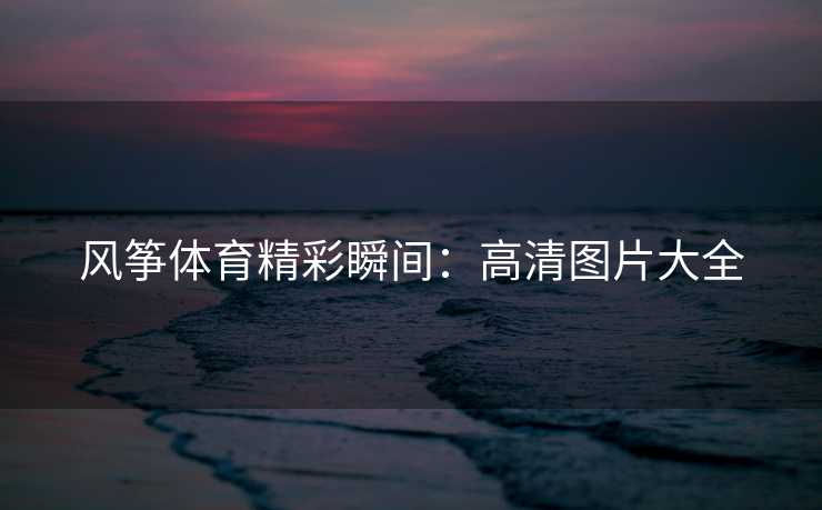 风筝体育精彩瞬间：高清图片大全