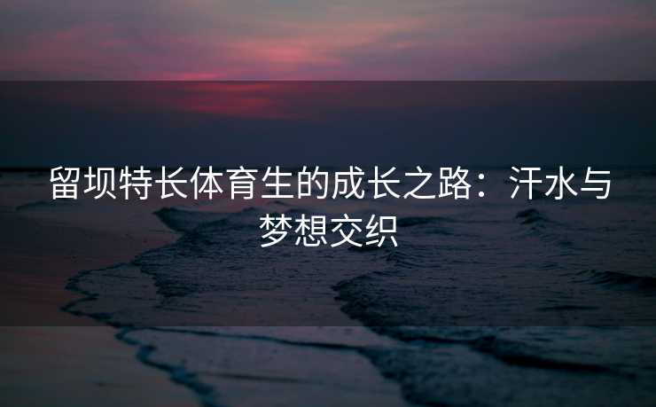 留坝特长体育生的成长之路：汗水与梦想交织