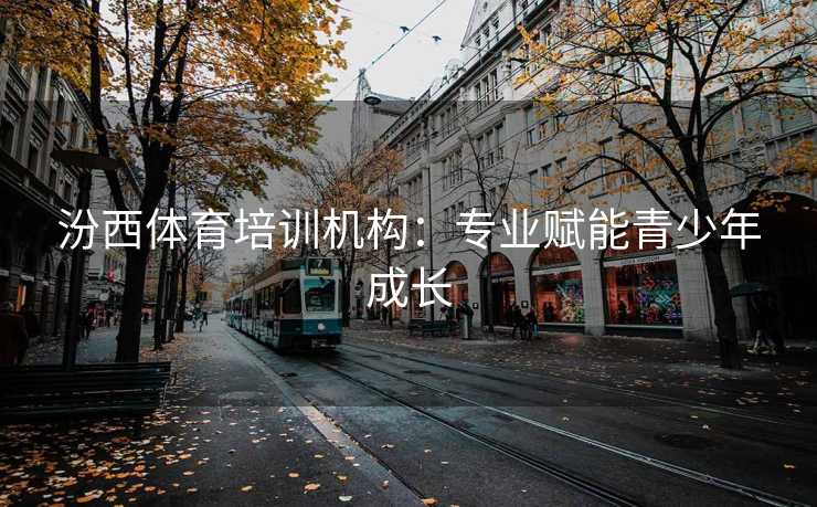 汾西体育培训机构：专业赋能青少年成长