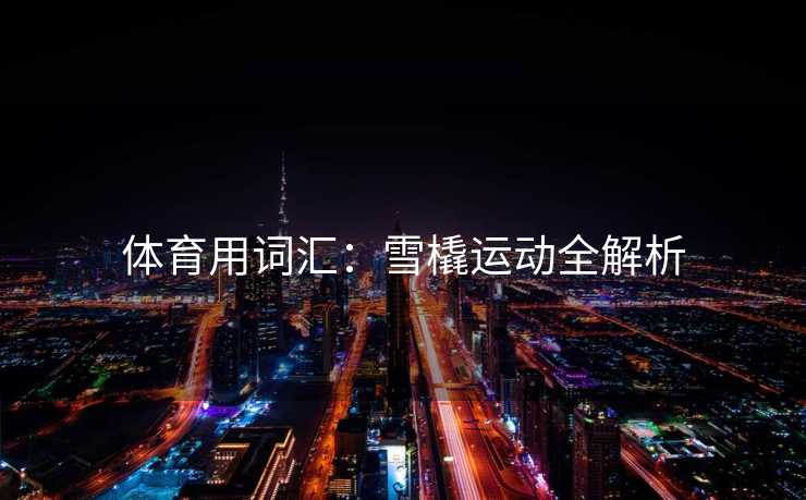 体育用词汇：雪橇运动全解析